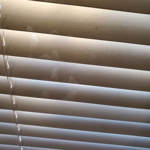 Photo of Monica's Housekeeping and Organizing