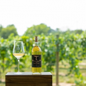 Photo of 7 Vines Vineyard