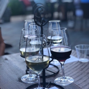 Photo of 7 Vines Vineyard