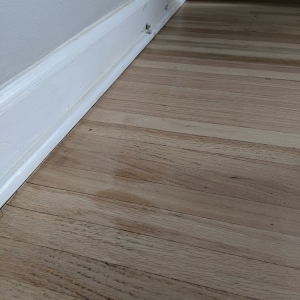 Charlotte Joyce's Hardwood Floors