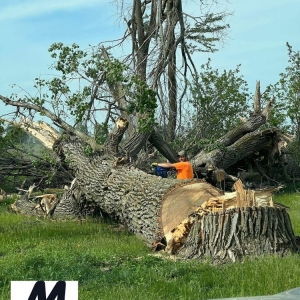 Photo of Miller Industries