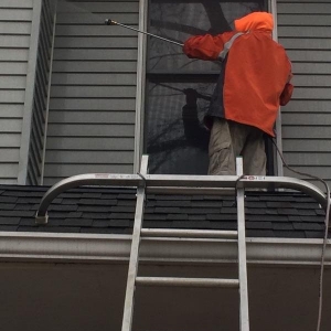 Photo of Ecofresh Cleaning