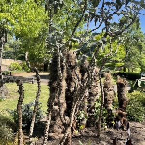 Photo of Memphis Botanic Garden