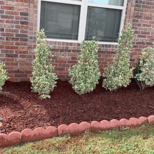 Photo of Flores Landscaping and Remodeling