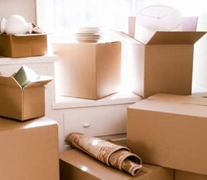 Photo of Alot for Less Moving