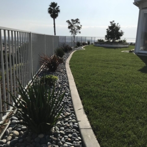 Photo of Grass Doctor Landscape