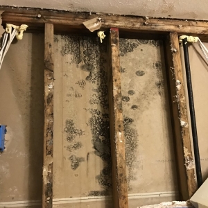 Photo of Restoration 1 of Round Rock
