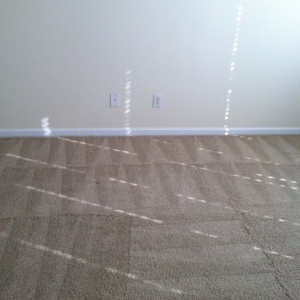 Photo of Superior Carpet Cleaning and Janitorial