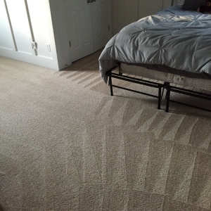 Photo of Superior Carpet Cleaning and Janitorial