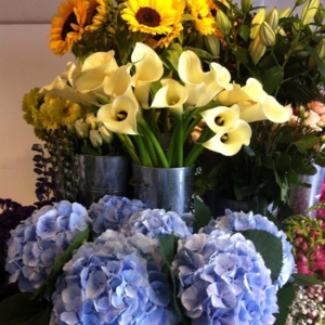 Photo of Belfast Flower Delivery