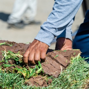 Photo of J&J Sod Company