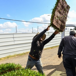 Photo of J&J Sod Company