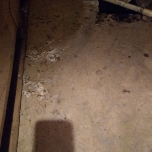 Photo of Mr Rooter Plumbing & Drain Cleaning