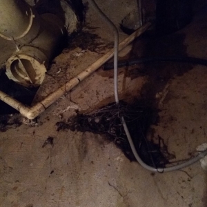 Photo of Mr Rooter Plumbing & Drain Cleaning