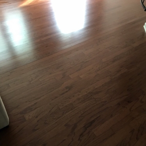 Photo of Sapphire Floor Maintenance