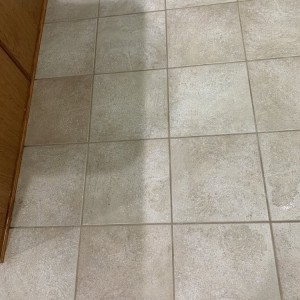 Photo of Sapphire Floor Maintenance