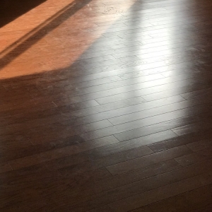 Photo of Sapphire Floor Maintenance
