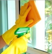 Photo of Your Window Cleaner
