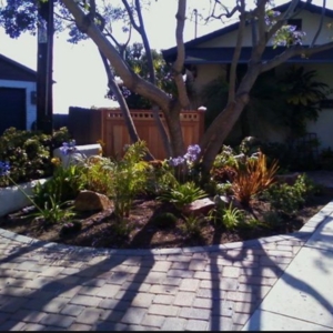 Photo of Meier's Yard Polishing and Landscape