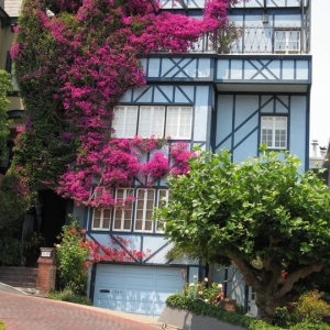 Photo of Lakian Landscape and Design
