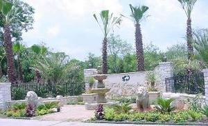 Photo of Ted's Trees