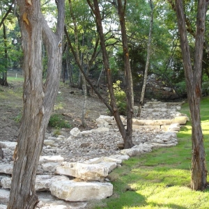 Photo of Ted's Trees