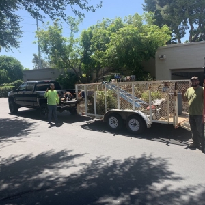 Photo of Luis Landscaping