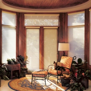 Photo of Window Expressions