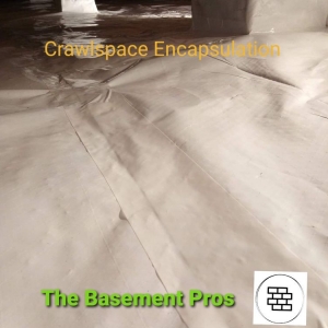 Photo of The Basement Pros