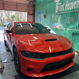 Photo of Tint Heaven