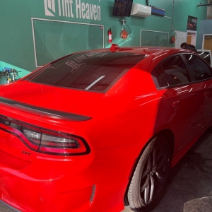 Photo of Tint Heaven