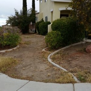 Photo of VIP Landscaping