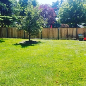 Photo of Terra Nova Fence