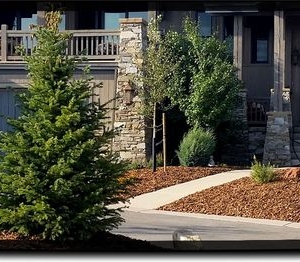 Franklin Creative Stone