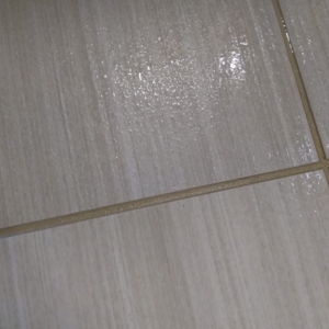 Photo of Accenture Carpet Company