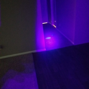 Photo of Accenture Carpet Company