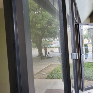 Photo of S&N Sparkly Clean Windows