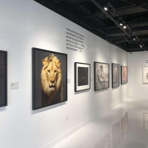 Photo of Park City Frame