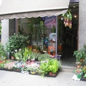 Photo of Floristería Jacaranda