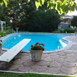 Photo of Optimum Pool Service
