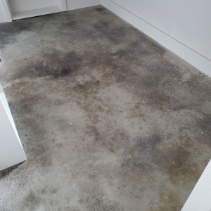 Photo of Premier Stained Concrete
