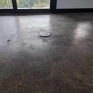 Photo of Premier Stained Concrete
