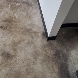 Photo of Premier Stained Concrete