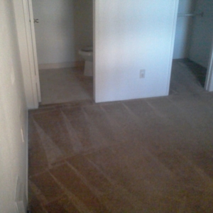 Photo of Renue-al Carpet Cleaning