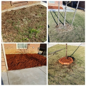 Photo of R-n-S Lawn Care