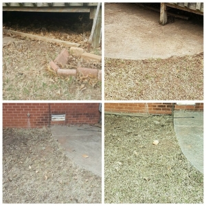 Photo of R-n-S Lawn Care