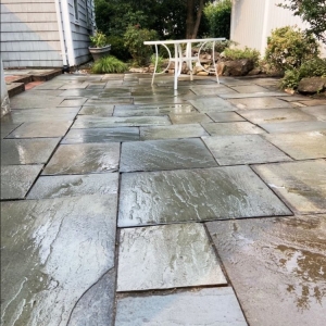 Photo of Premium Projects - Softwashing & Powerwashing