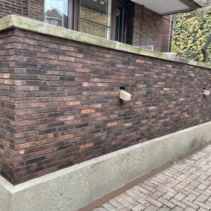 Photo of Peter's restoration