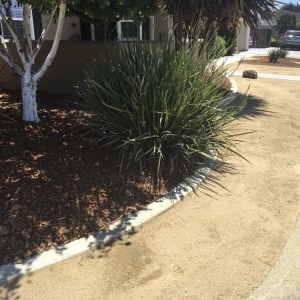 Salinas Torres Landscape & Gardening