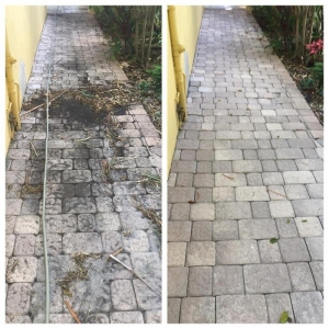 Photo of Proclean Solutions